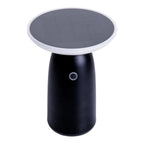 LED Solar Lamp ADA Zwart Buiten 22,5x16cm