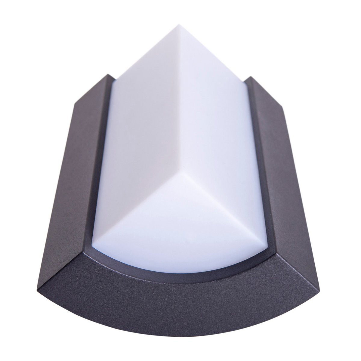 RICO Wandlamp Buiten - Antraciet 14,8cm