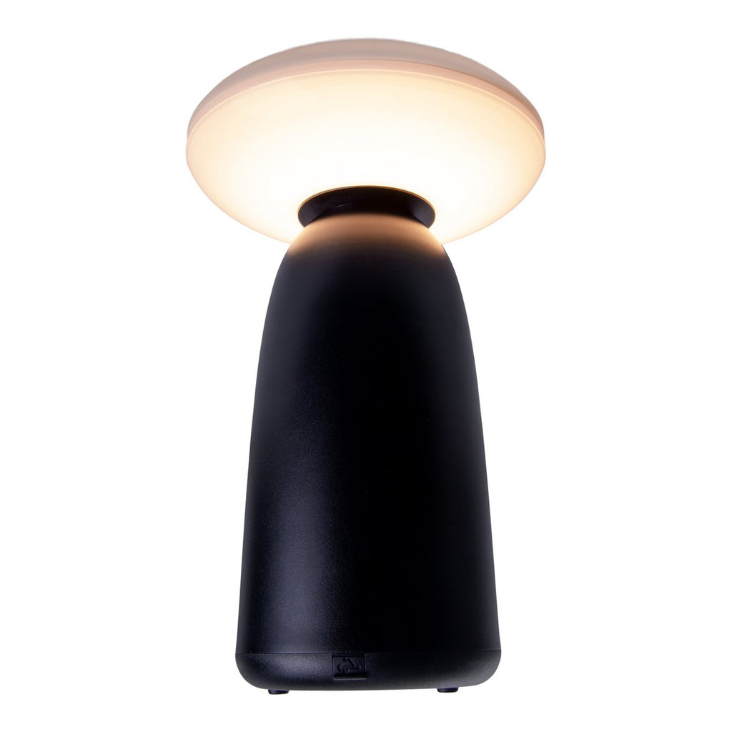 LED Solar Lamp ADA Zwart Buiten 22,5x16cm