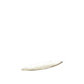 Wit aluminium decoratieve schaal 50x10,5cm