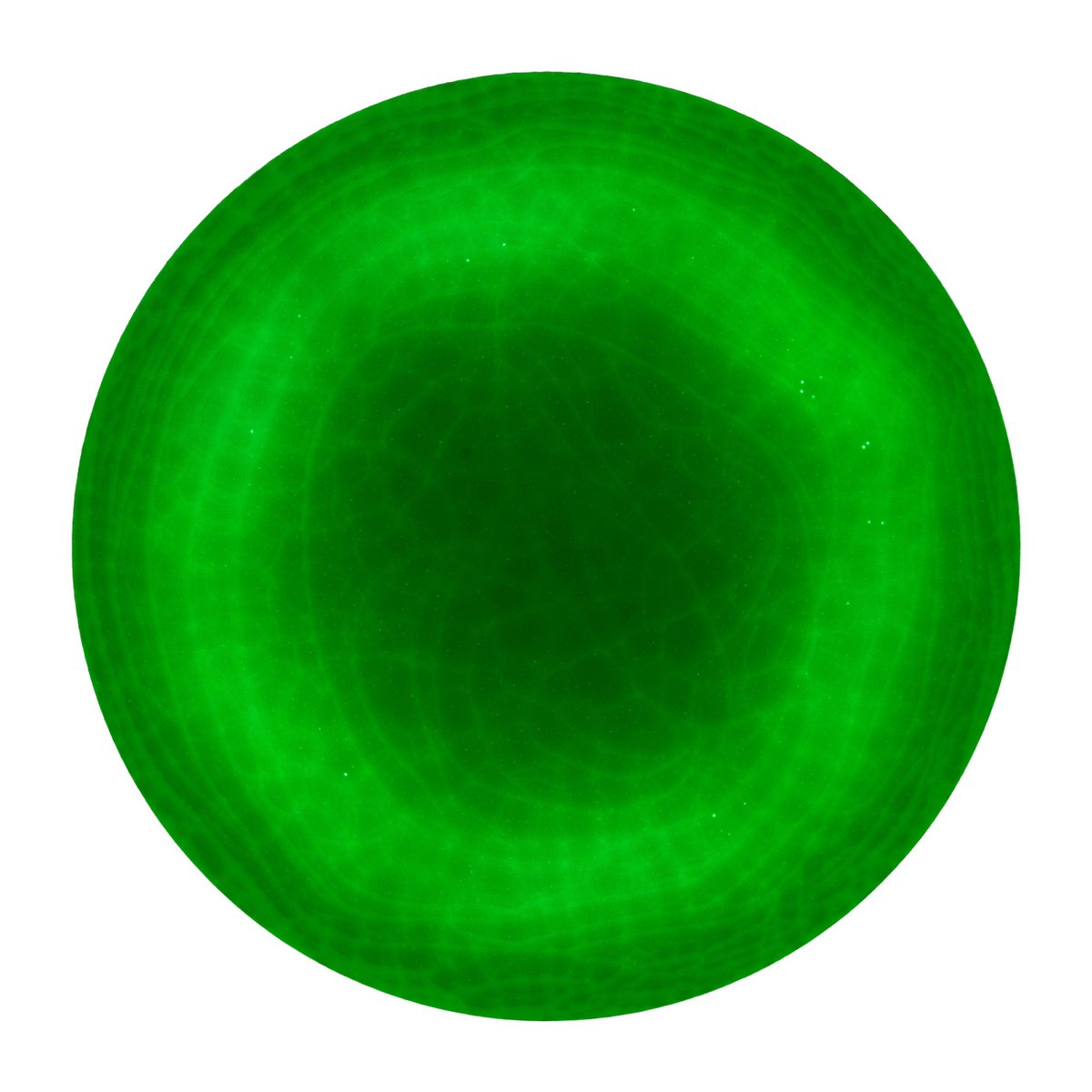 LED Plafondlamp Sligo 38cm RGB Wit Dimbaar