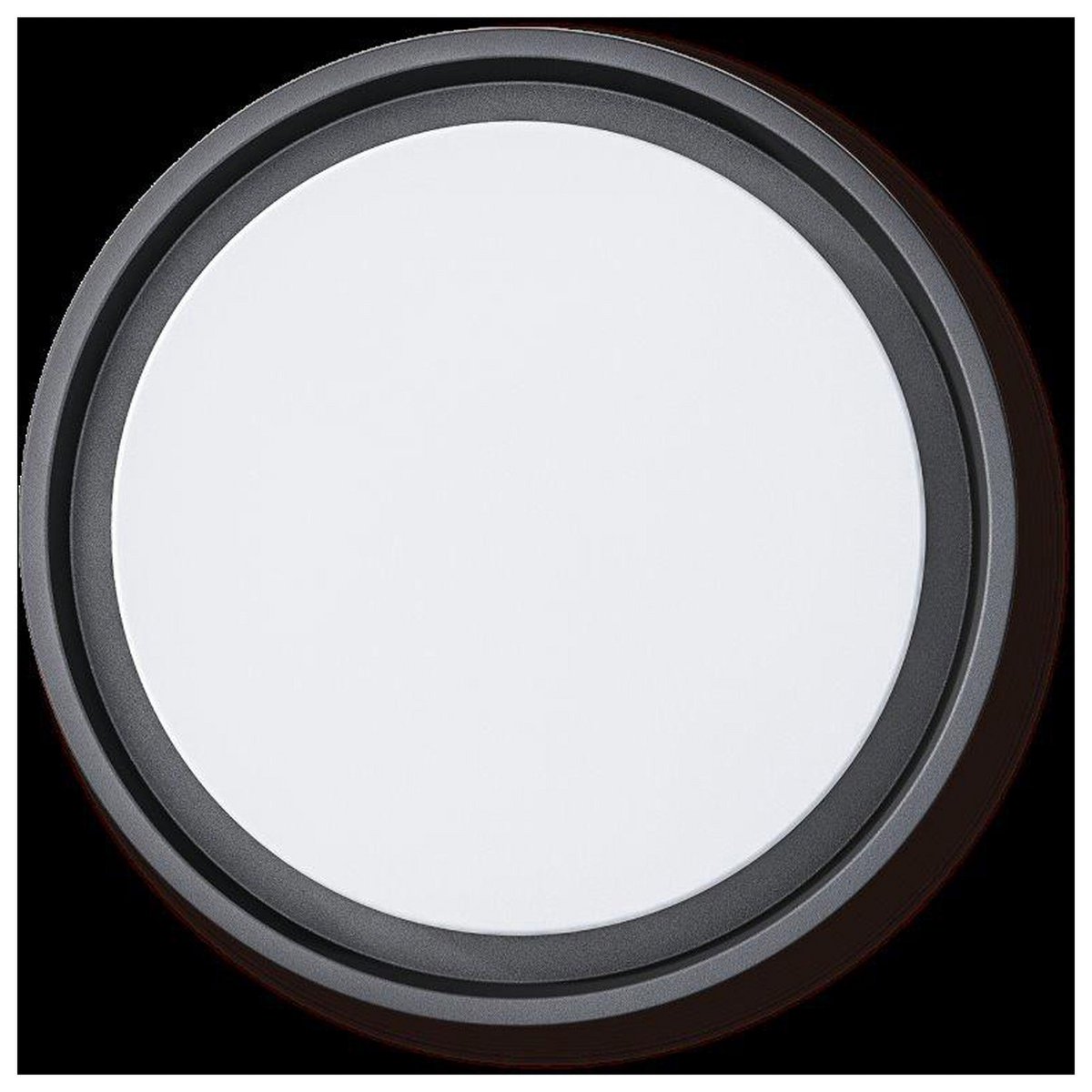 Näve Mio LED Buitenmuurlamp Ø27cm Antraciet