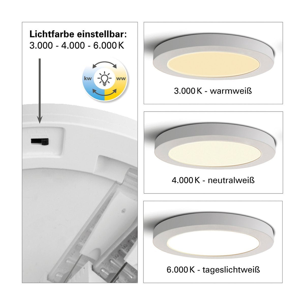 LED -plafondlicht "bonus" Ø: 17 cm
