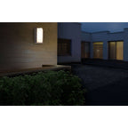 RICO Wandlamp Buiten - Antraciet 14,8cm