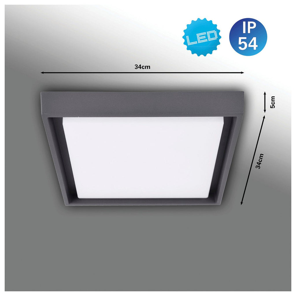 Näve LED Plafondlamp MIO 34cm IP54