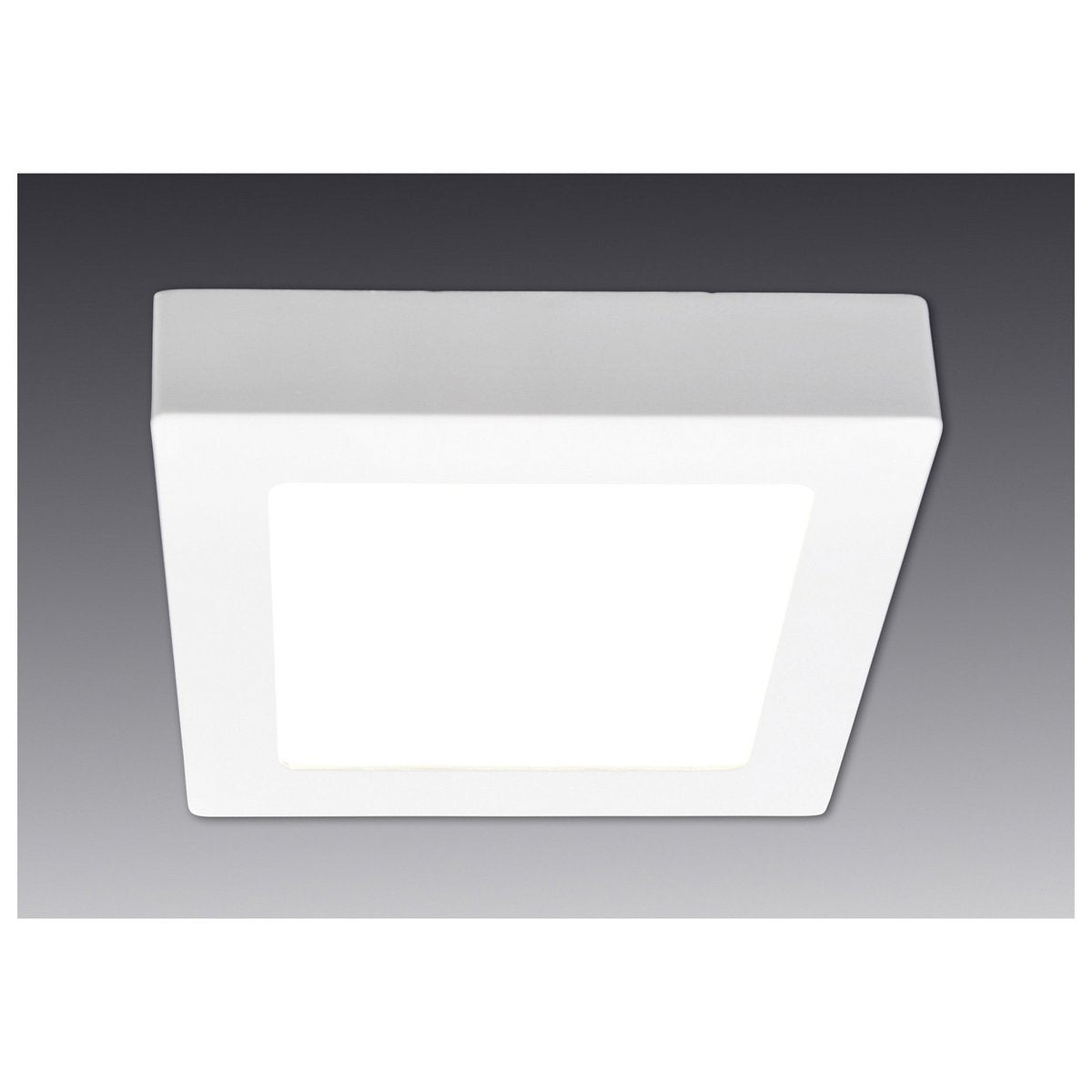 Näve LED Dimbaar Paneel 17,2cm Blauw