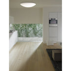LED Plafondlicht Darwin 100x100cm