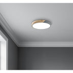 Näve Borneo LED Plafondlamp 31cm Grijs