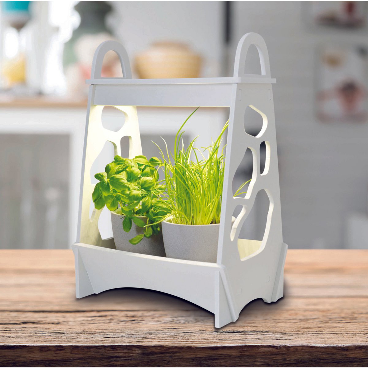 Näve LED Mini Tuinkas Wit 50cm