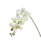 Decoratieve witte orchidee h100cm, Aulica