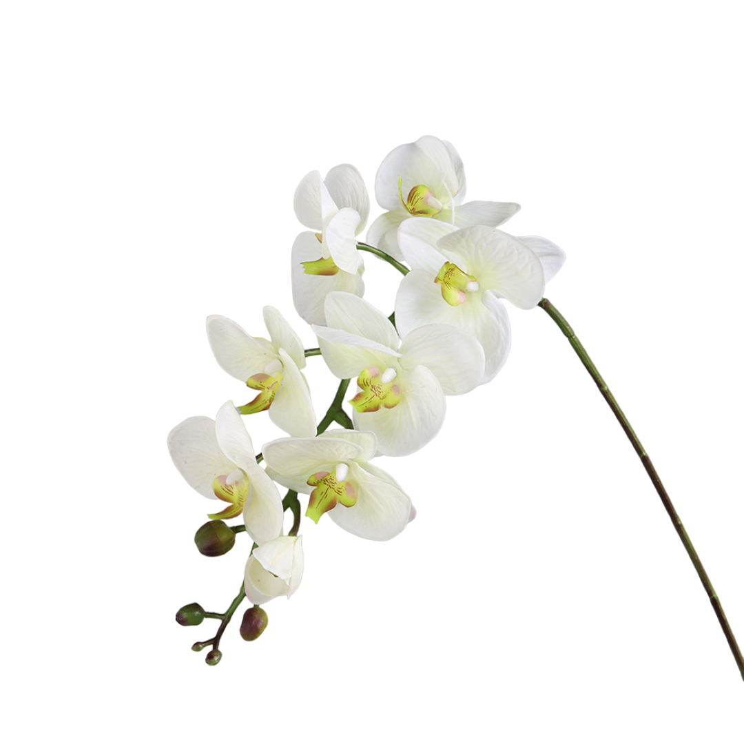 Decoratieve witte orchidee h100cm, Aulica
