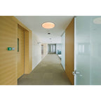 Näve Locarno LED Plafondlamp Ø 46cm Wit