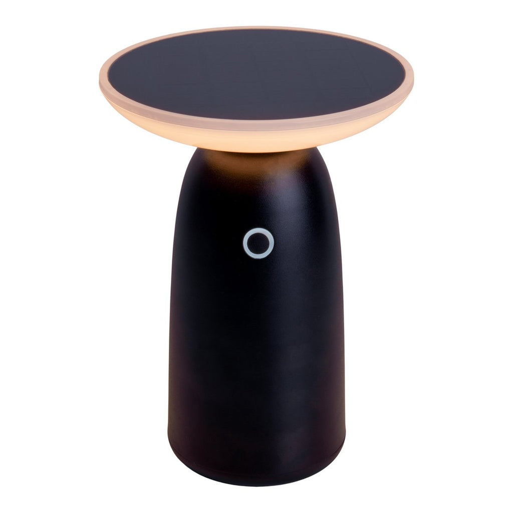 LED Solar Lamp ADA Zwart Buiten 22,5x16cm