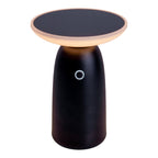 LED Solar Lamp ADA Zwart Buiten 22,5x16cm