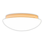 LED Plafondlamp Bergen - Bewegingsensor Wit