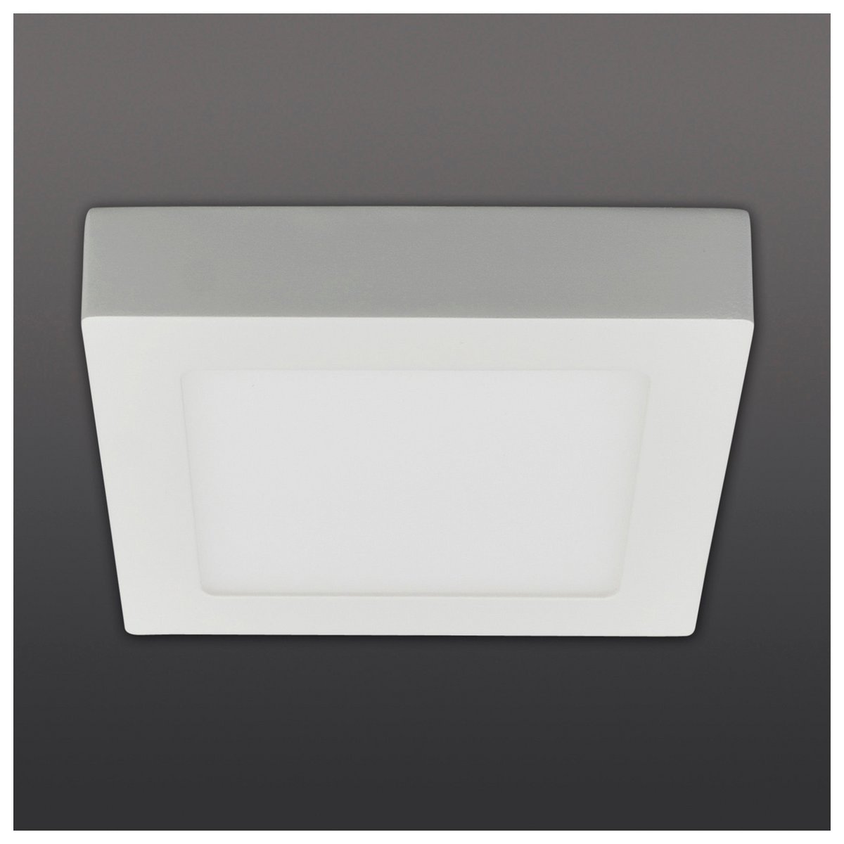 Näve Simplex LED Plafondlamp 17cm Warm Wit