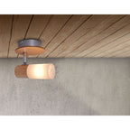 Näve Todtnau Plafondspot - Zwart 17cm