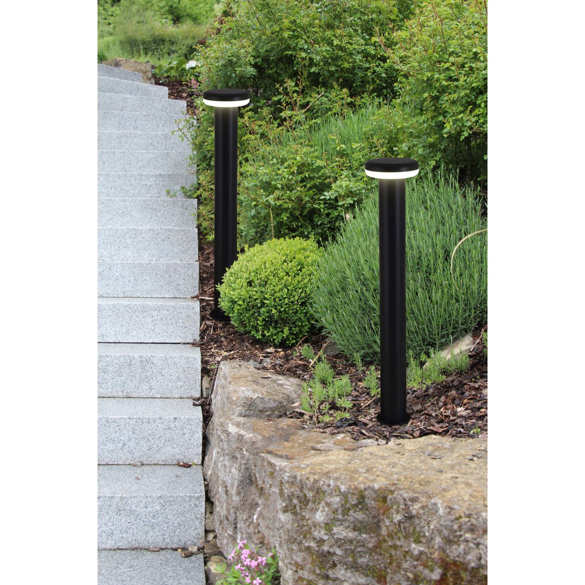 Näve Paddestoel LED Tuinlamp - Antraciet 76cm