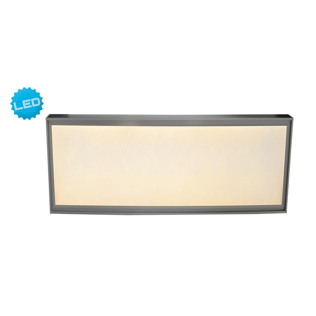 LED paneel Diversiteit 59,5x29,5cm warm wit