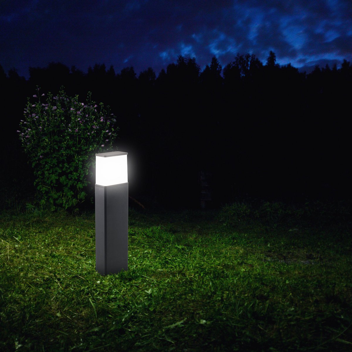 Näve Vigo LED Padlicht - Antraciet 50cm