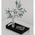 Vigor Tray Black