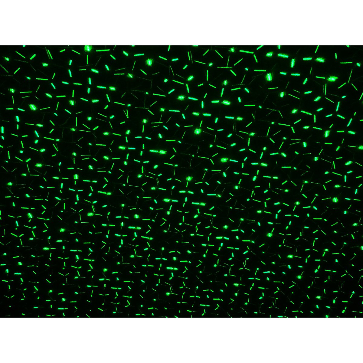 Näve Laser Tuinspies - Groen/Rood LED Projector