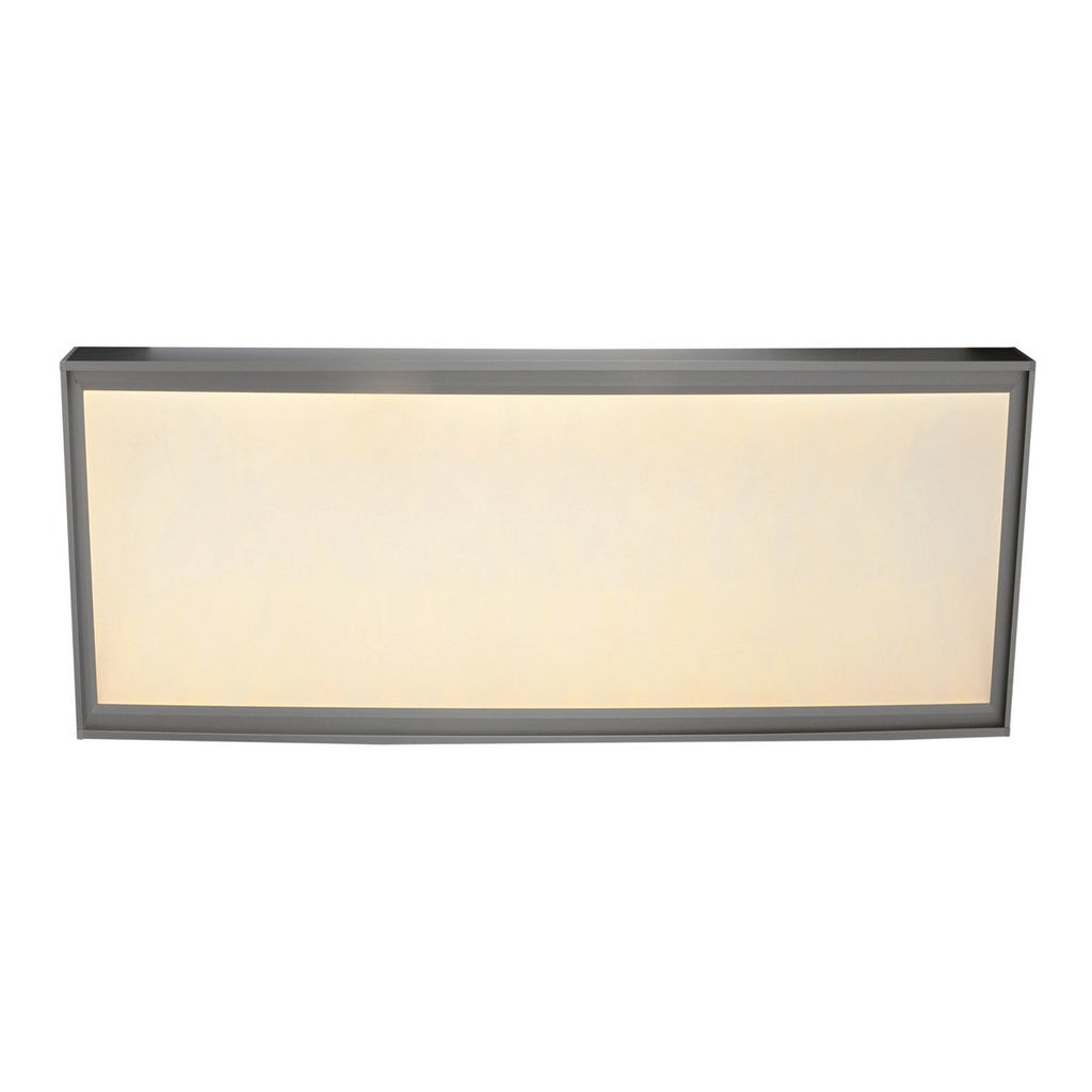 LED paneel Diversiteit 59,5x29,5cm warm wit