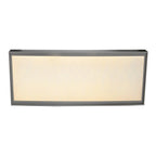 LED paneel Diversiteit 59,5x29,5cm warm wit