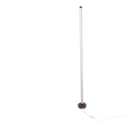 Näve Leuchten RGB Motion Vloerlamp 156cm Zwart Dimbaar