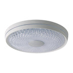 LED-plafondlamp Boise Ø 51cm dimbaar wit