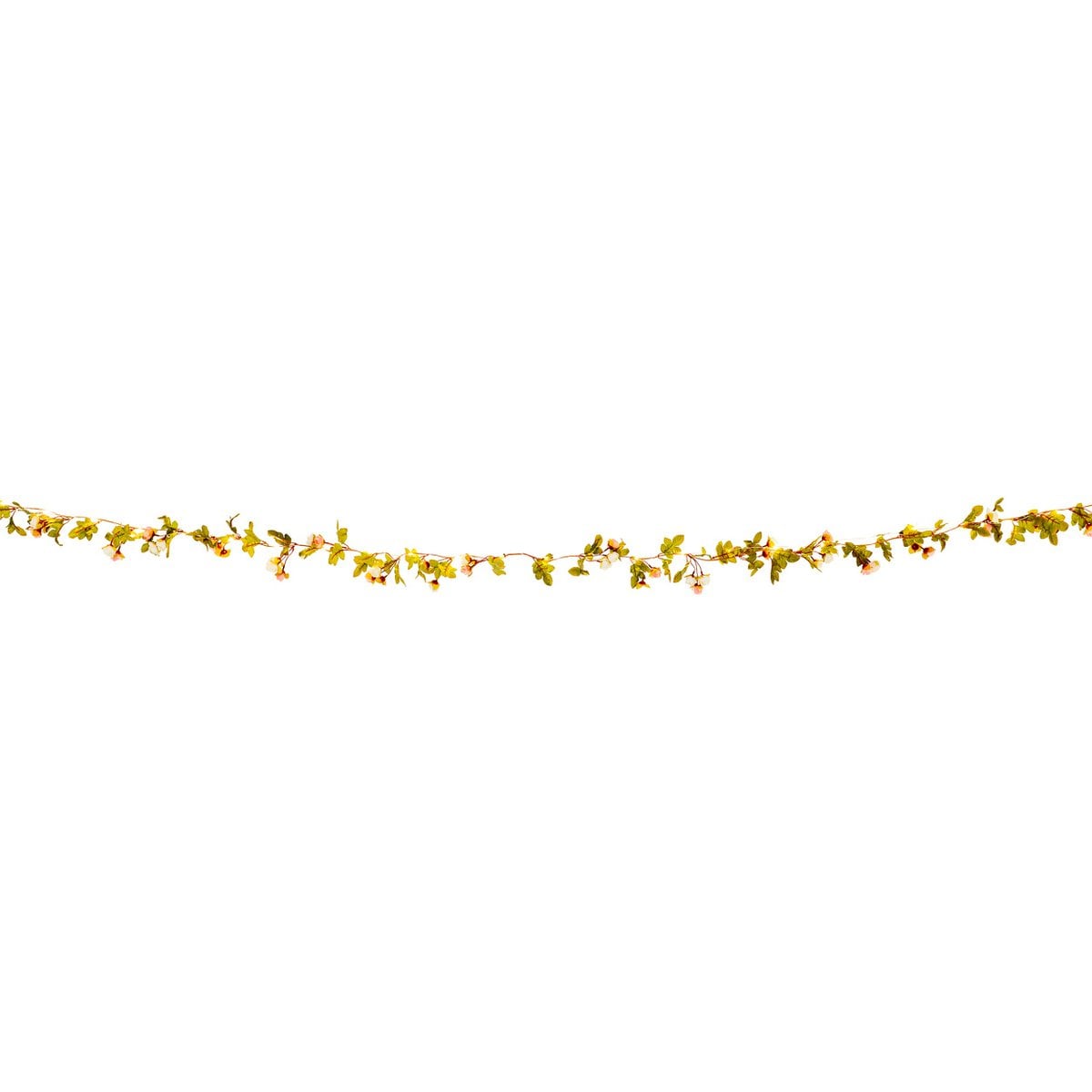 Näve Lichte Keten Röschen - 40 LED Warm Wit