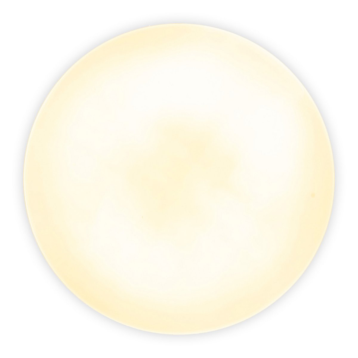 Näve Fontana LED Plafondlamp Met Sensor