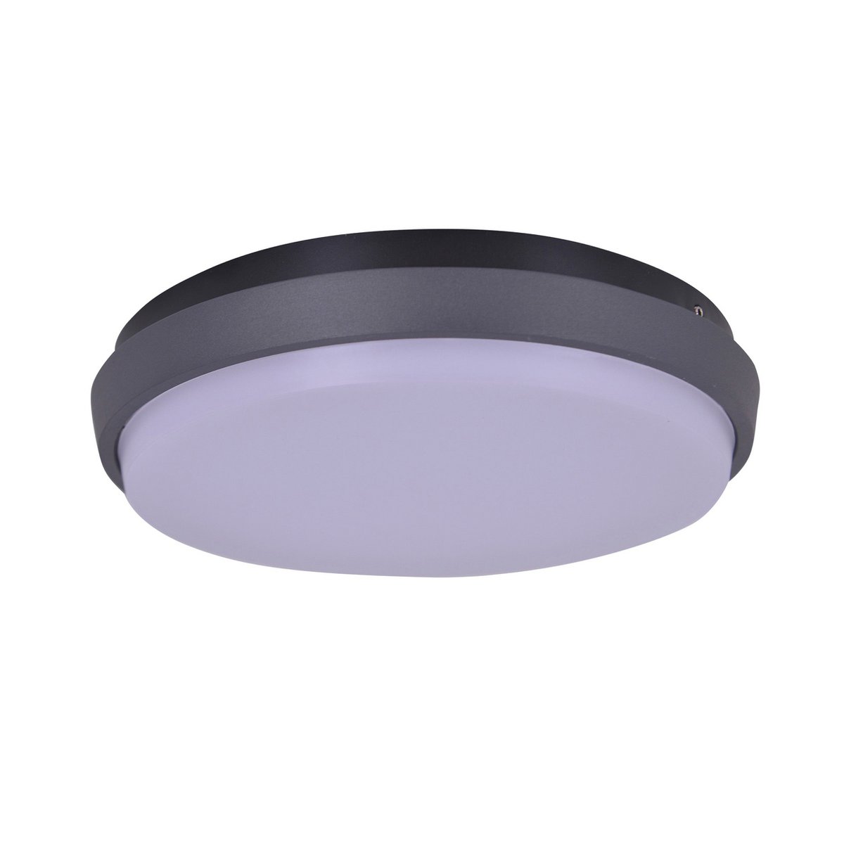 Näve Mio LED Buitenmuurlamp Ø27cm Antraciet