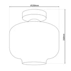 Näve Vaso Plafondlamp - Antraciet Retro 25cm