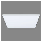 Näve Carente LED Plafondlamp 45cm Wit