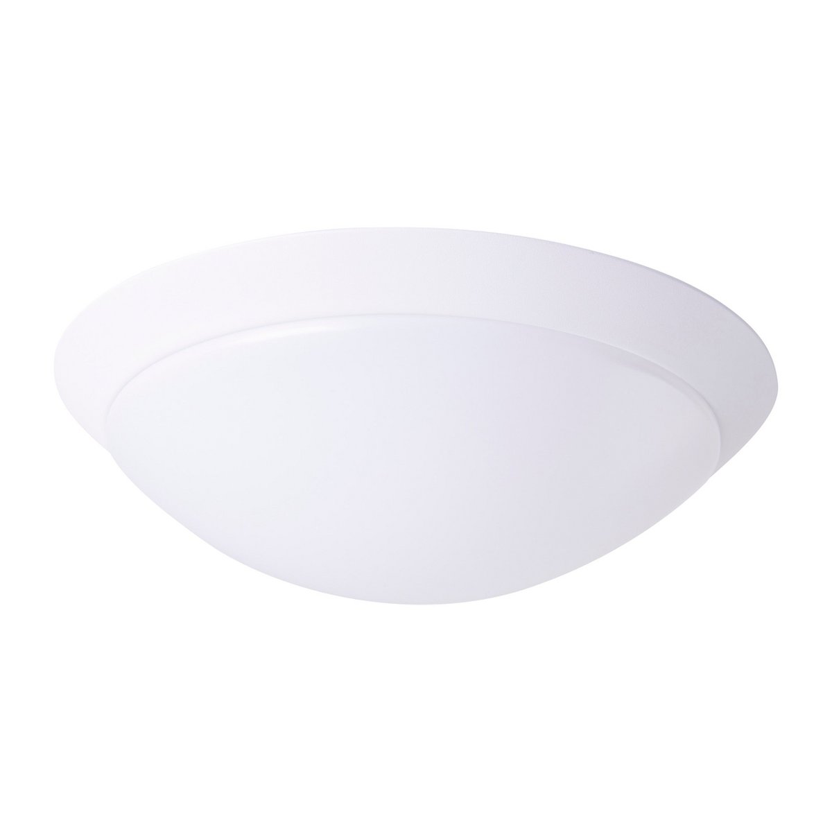 Näve Cirkel LED Wandplafondlamp 32cm