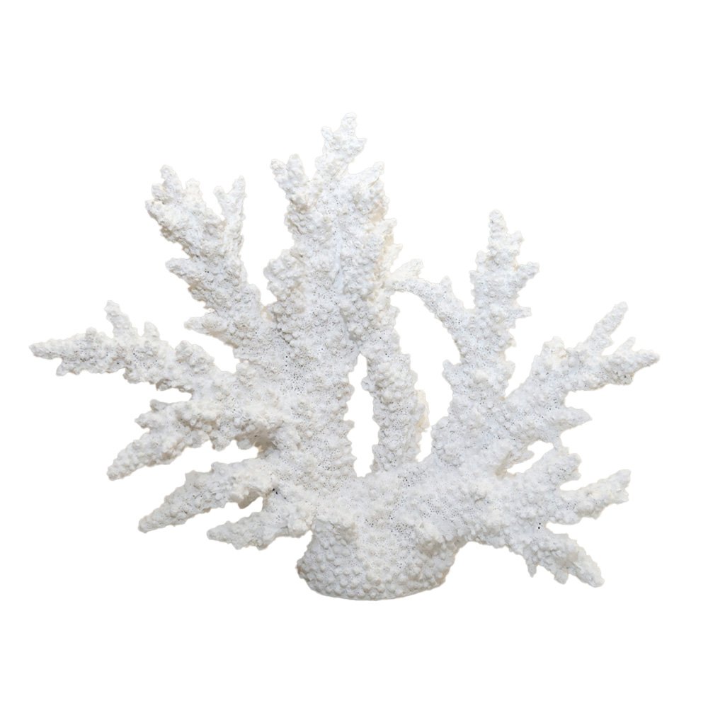 Decoratief wit koraal 34x13x27cm