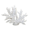 Decoratief wit koraal 34x13x27cm