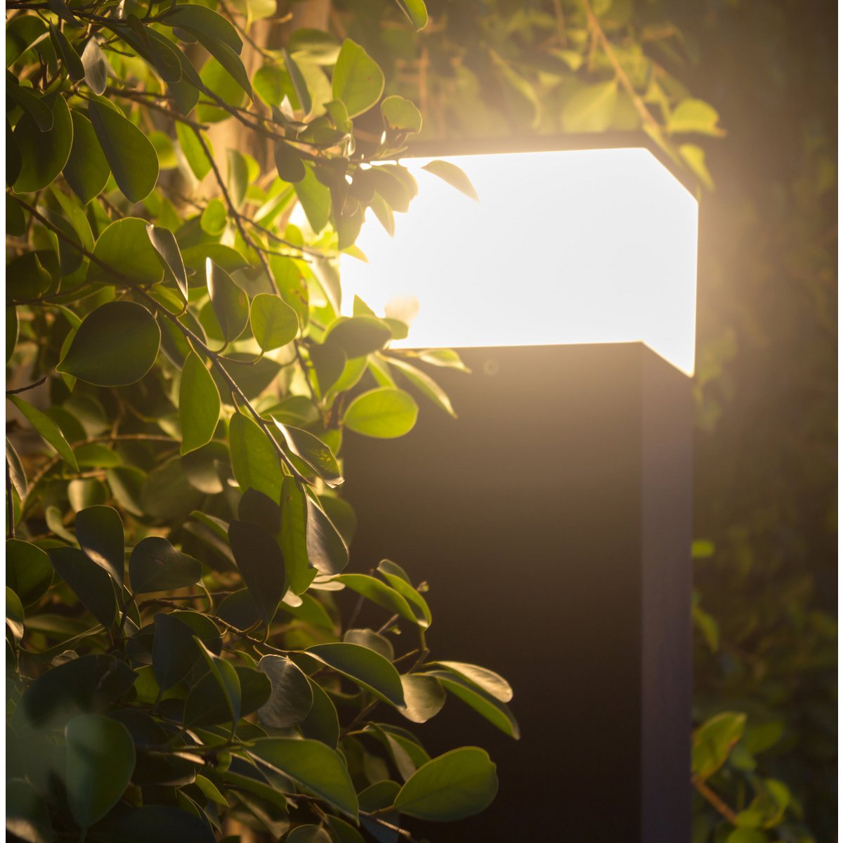 Näve Vigo LED Padlicht - Antraciet 50cm