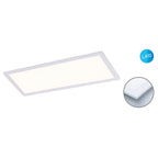 Näve Nicola LED Paneel 59,5x29,5cm Neutraal