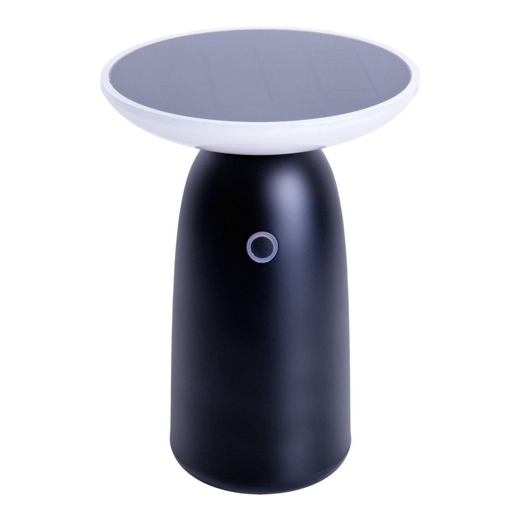 LED Solar Lamp ADA Zwart Buiten 22,5x16cm