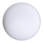 LED Plafondlamp Bergen - Bewegingsensor Wit