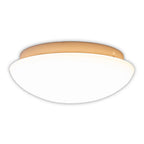 LED Plafondlamp Bergen - Bewegingsensor Wit