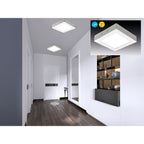 Näve LED Dimbaar Paneel 17,2cm Blauw