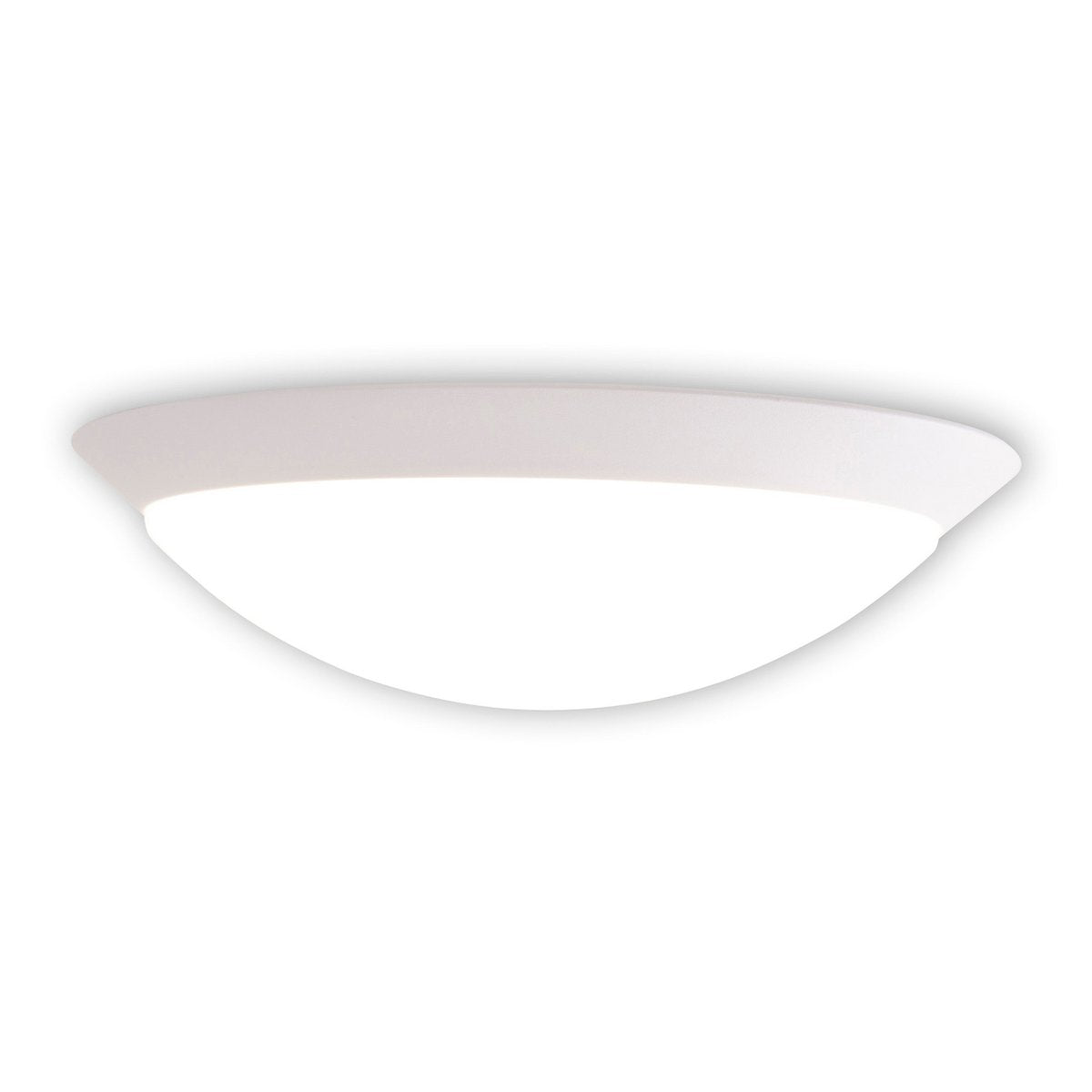 Näve Cirkel LED Wandplafondlamp 32cm