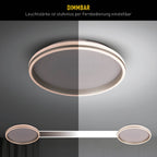 LED Plafondlamp Meteor 47cm Wit