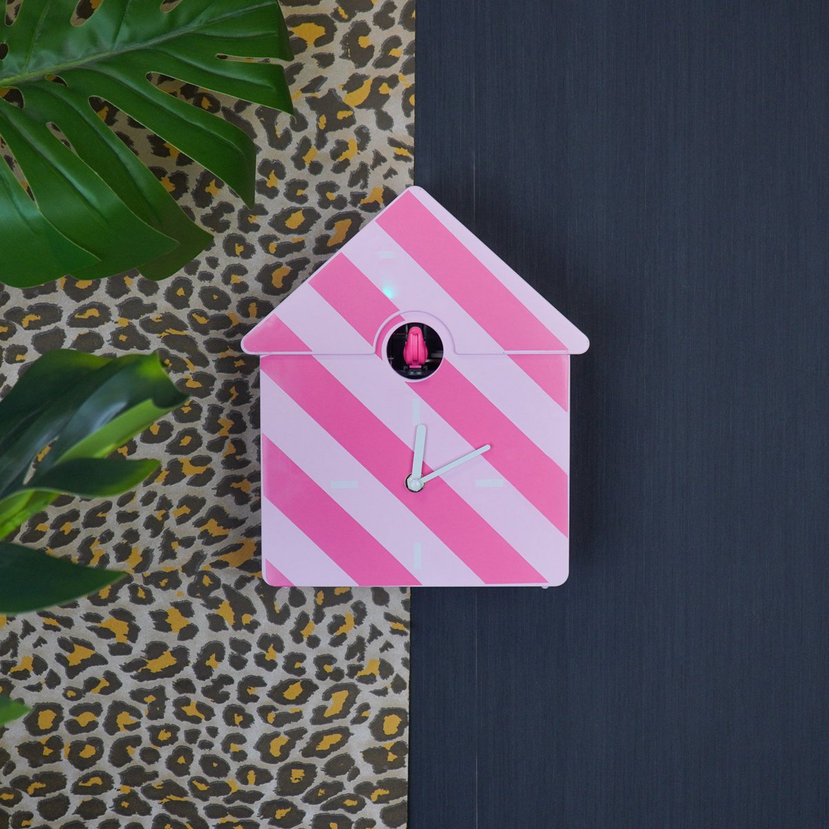 Kookoeksklok HouseVitamin - Roze 24x27x9cm